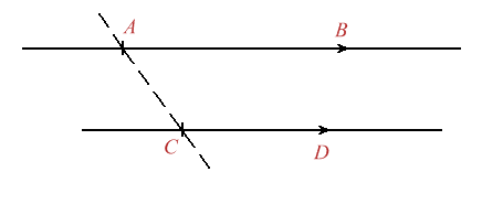 Figura 7